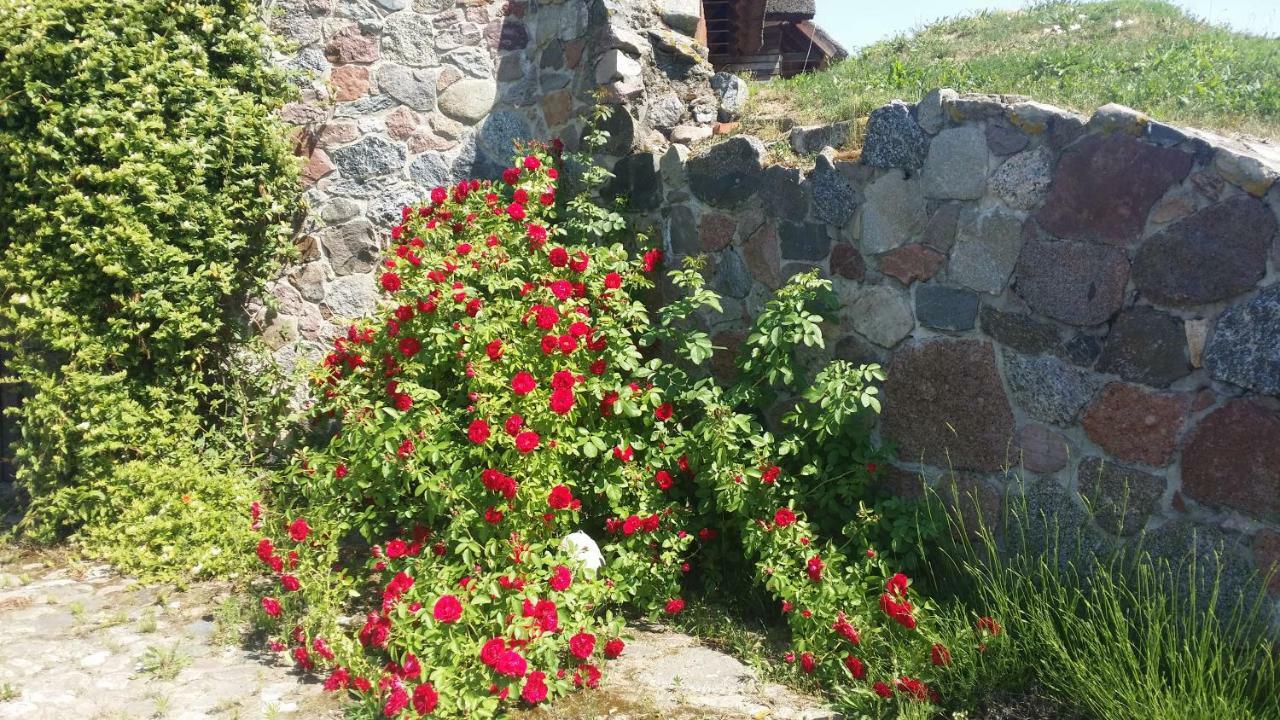 Mazurska Knieja Vila Milakowo Exterior foto